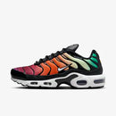 Air Max Plus Colorido